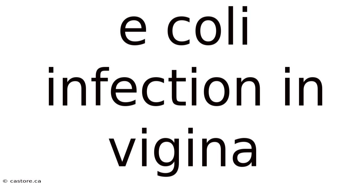 E Coli Infection In Vigina