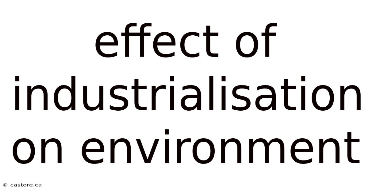 Effect Of Industrialisation On Environment