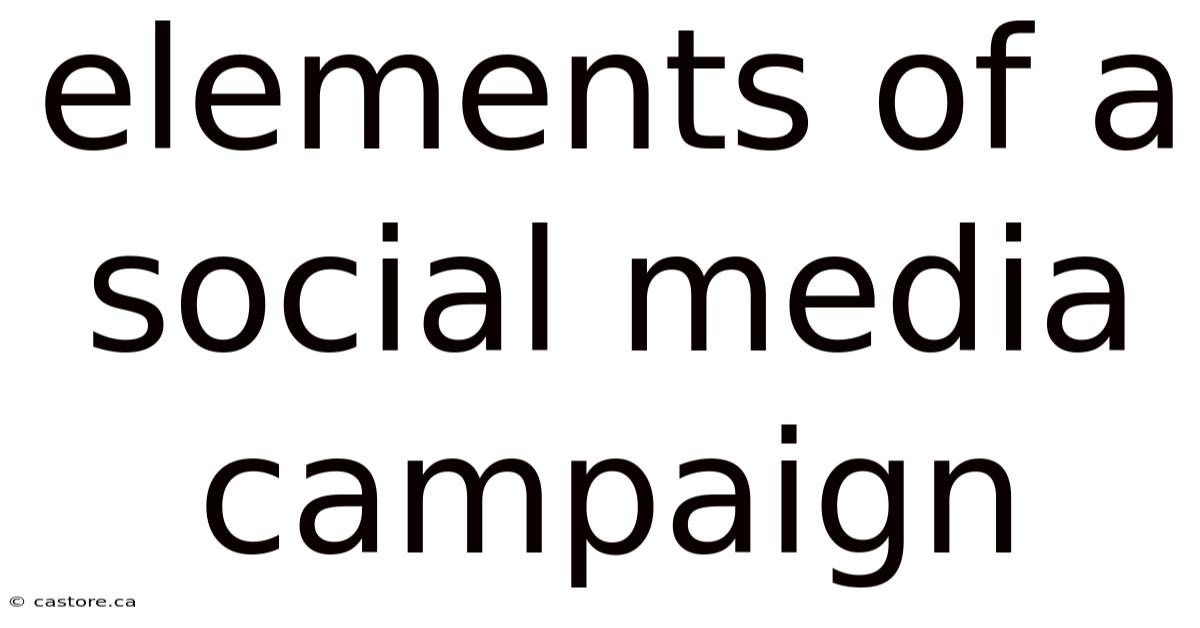 Elements Of A Social Media Campaign