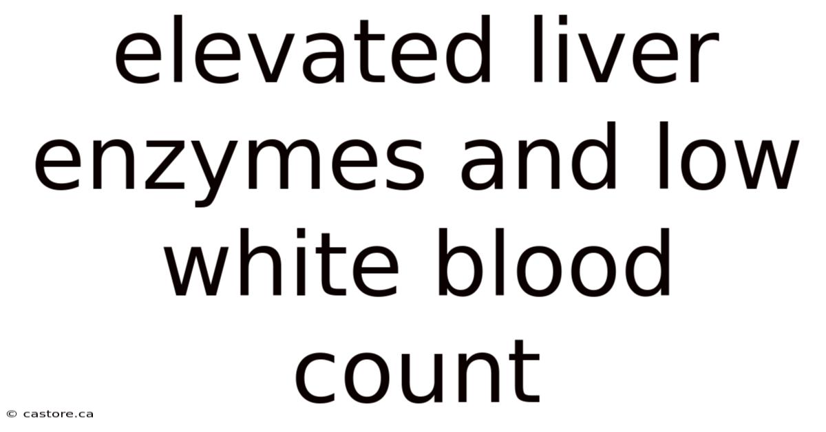 Elevated Liver Enzymes And Low White Blood Count
