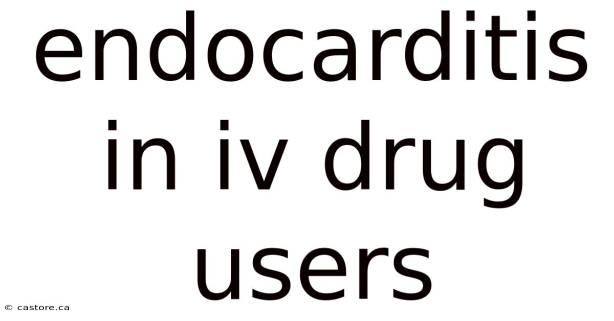 Endocarditis In Iv Drug Users
