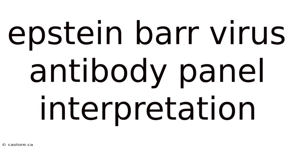 Epstein Barr Virus Antibody Panel Interpretation