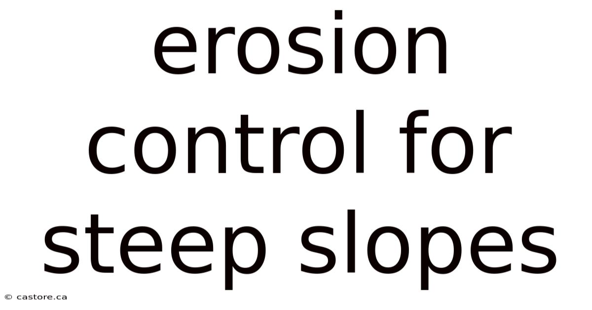 Erosion Control For Steep Slopes