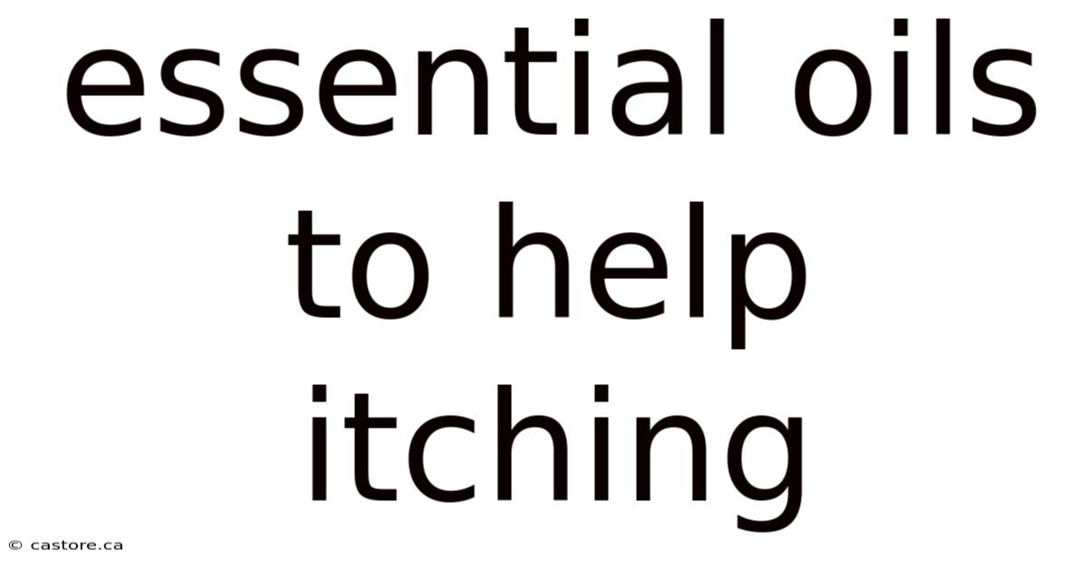Essential Oils To Help Itching