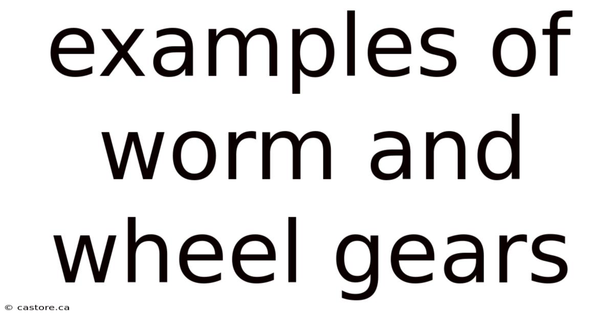 Examples Of Worm And Wheel Gears