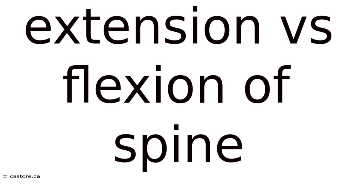 Extension Vs Flexion Of Spine