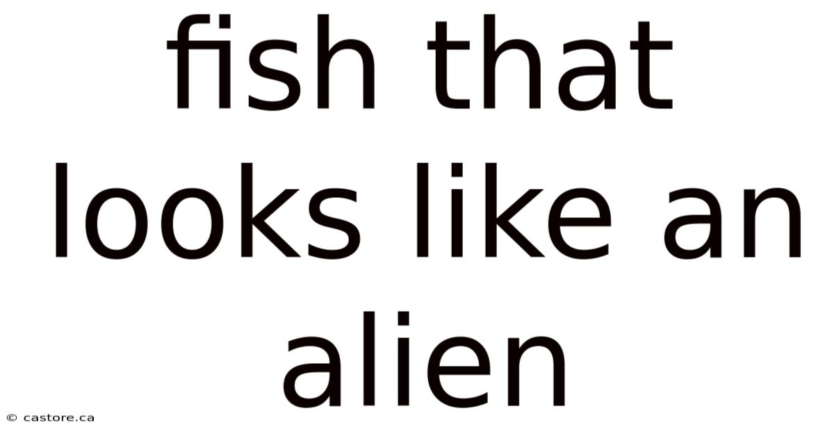 Fish That Looks Like An Alien