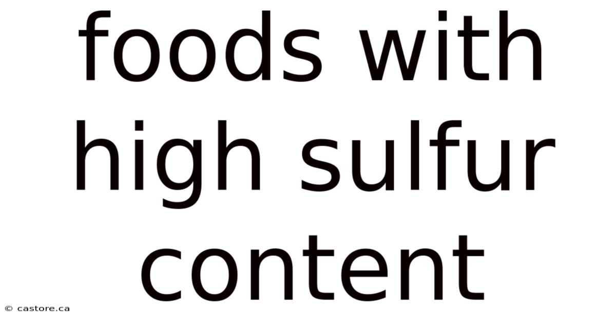 Foods With High Sulfur Content