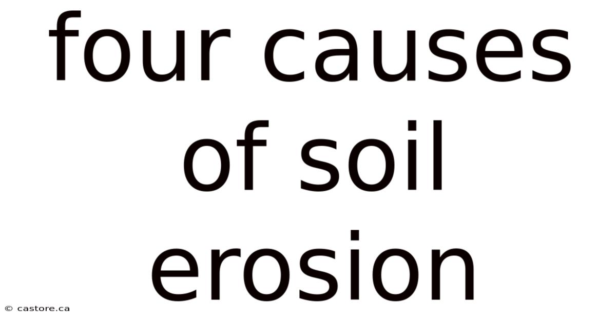 Four Causes Of Soil Erosion