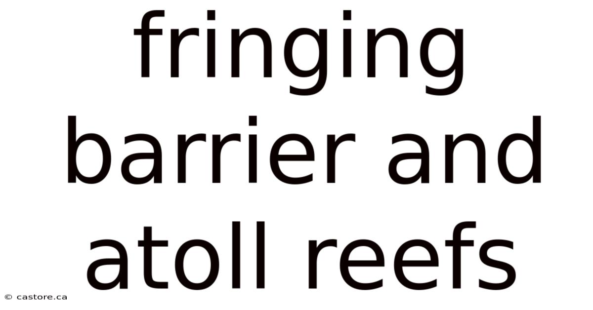 Fringing Barrier And Atoll Reefs