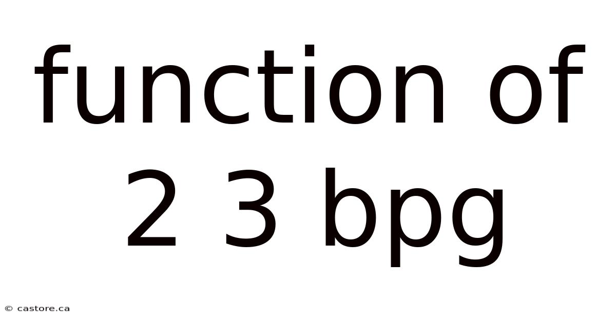Function Of 2 3 Bpg