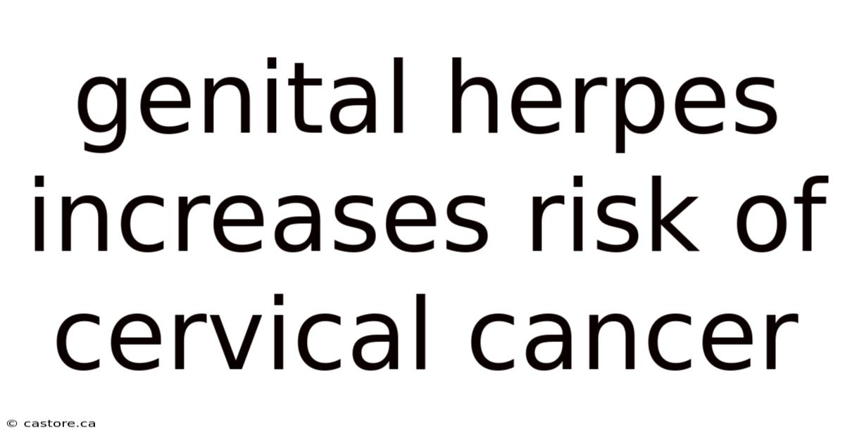 Genital Herpes Increases Risk Of Cervical Cancer
