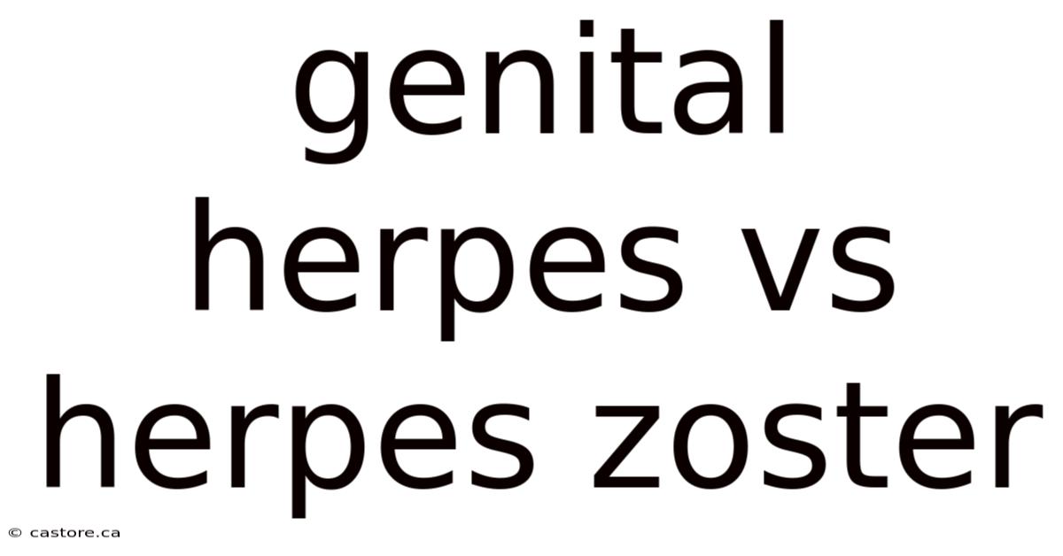 Genital Herpes Vs Herpes Zoster