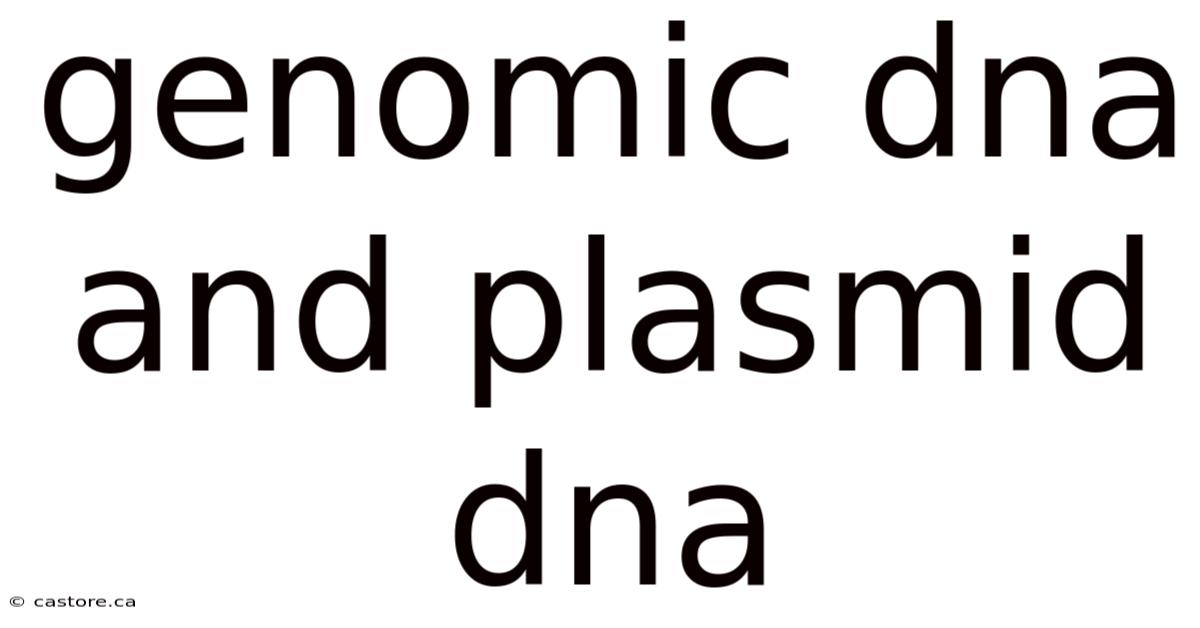 Genomic Dna And Plasmid Dna