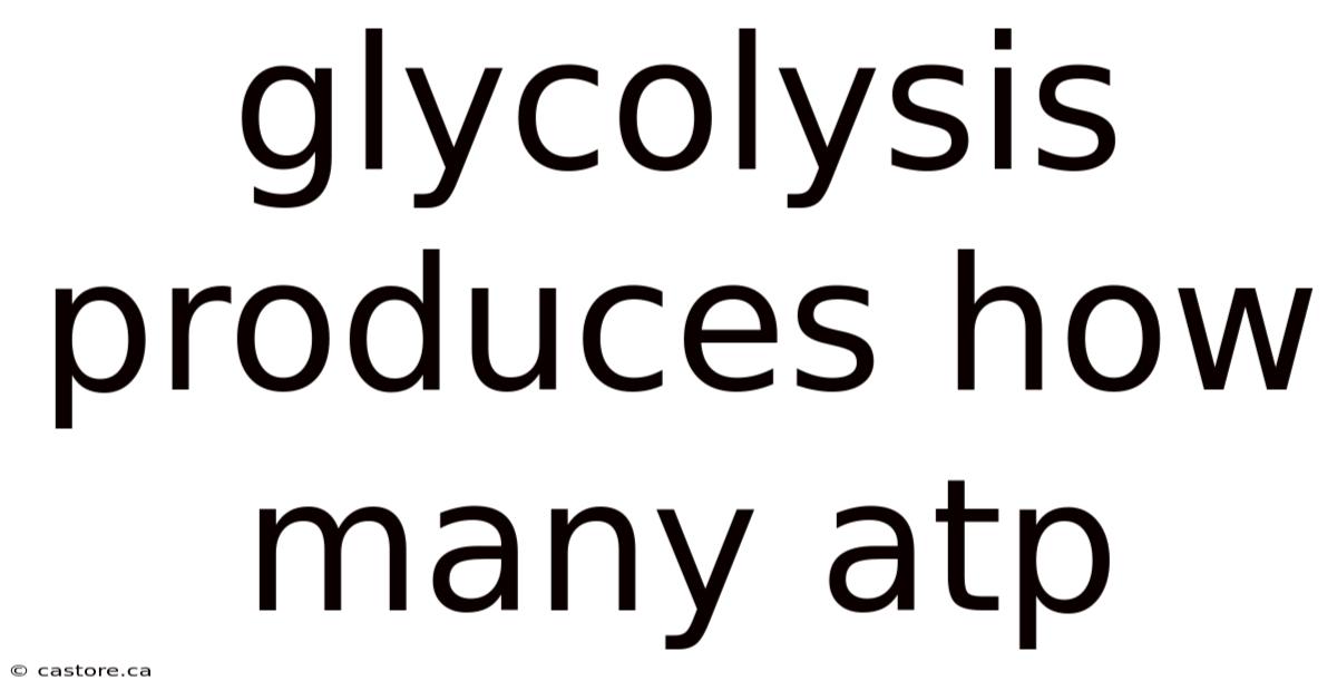 Glycolysis Produces How Many Atp