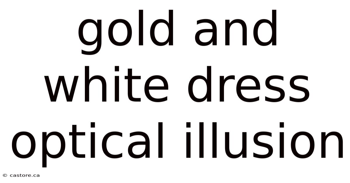 Gold And White Dress Optical Illusion