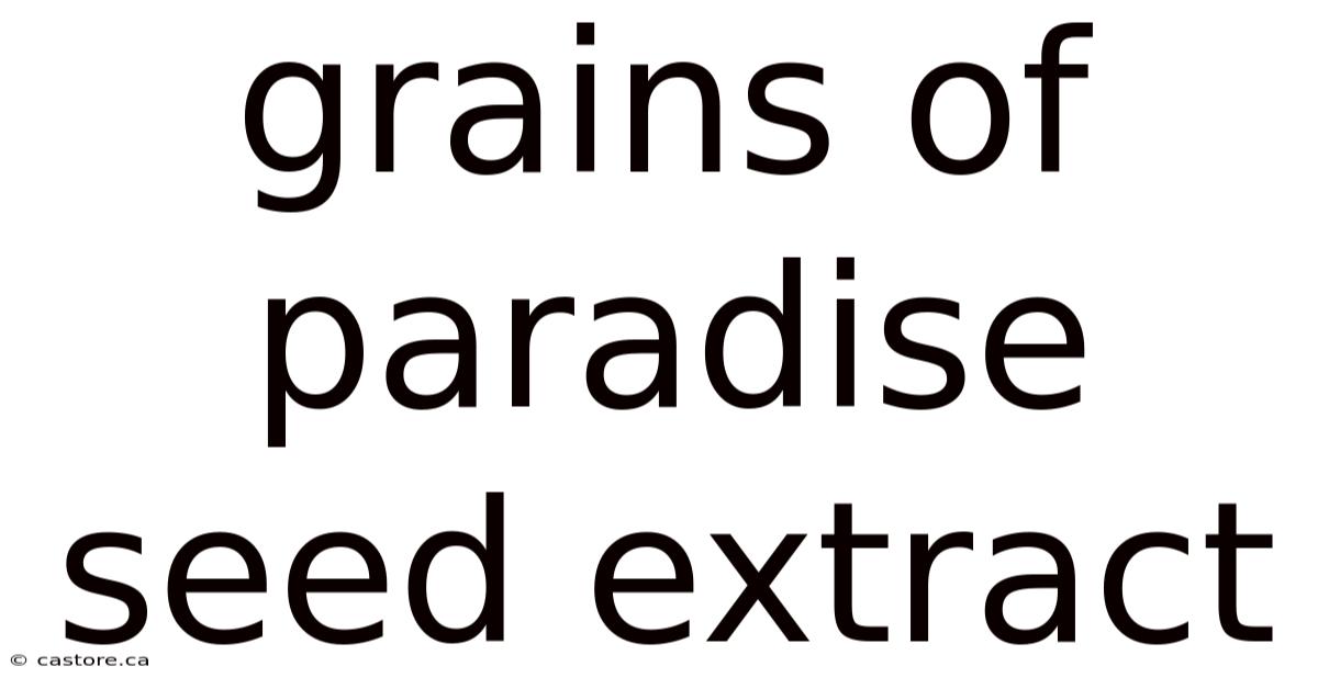 Grains Of Paradise Seed Extract