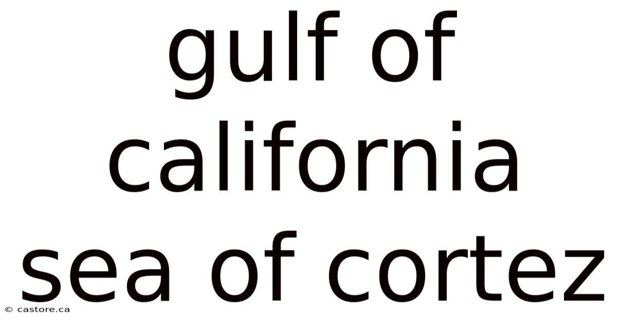 Gulf Of California Sea Of Cortez