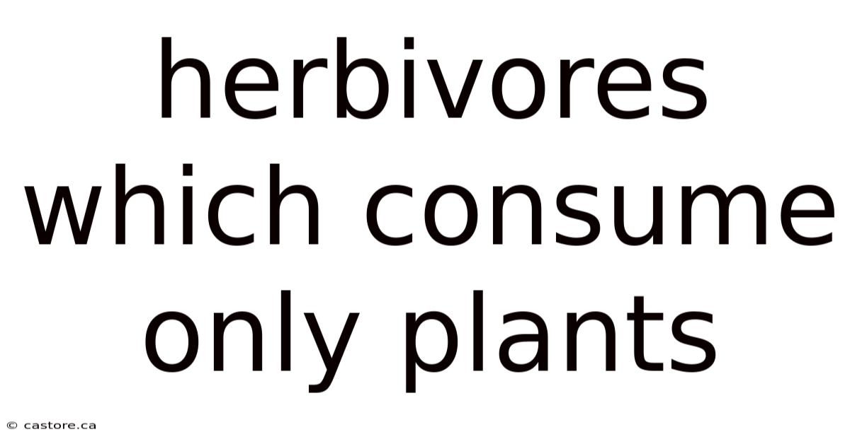 Herbivores Which Consume Only Plants