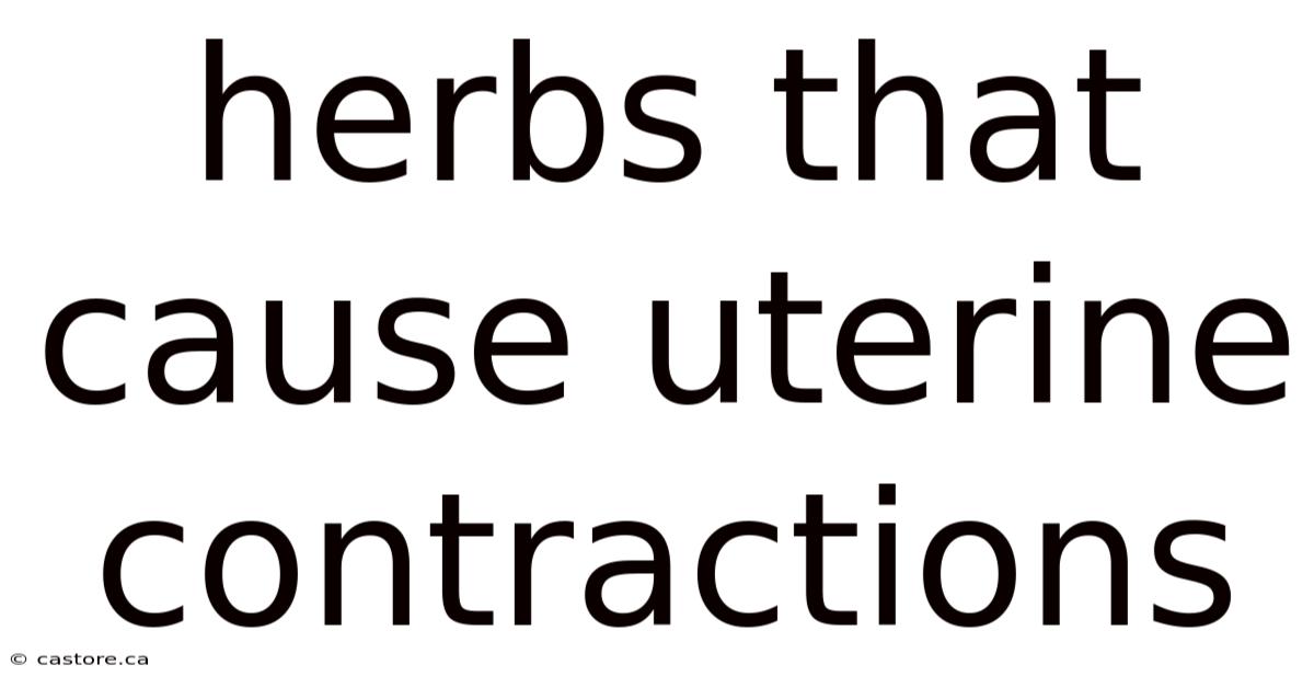 Herbs That Cause Uterine Contractions