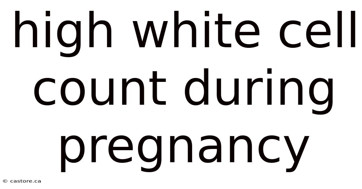 High White Cell Count During Pregnancy