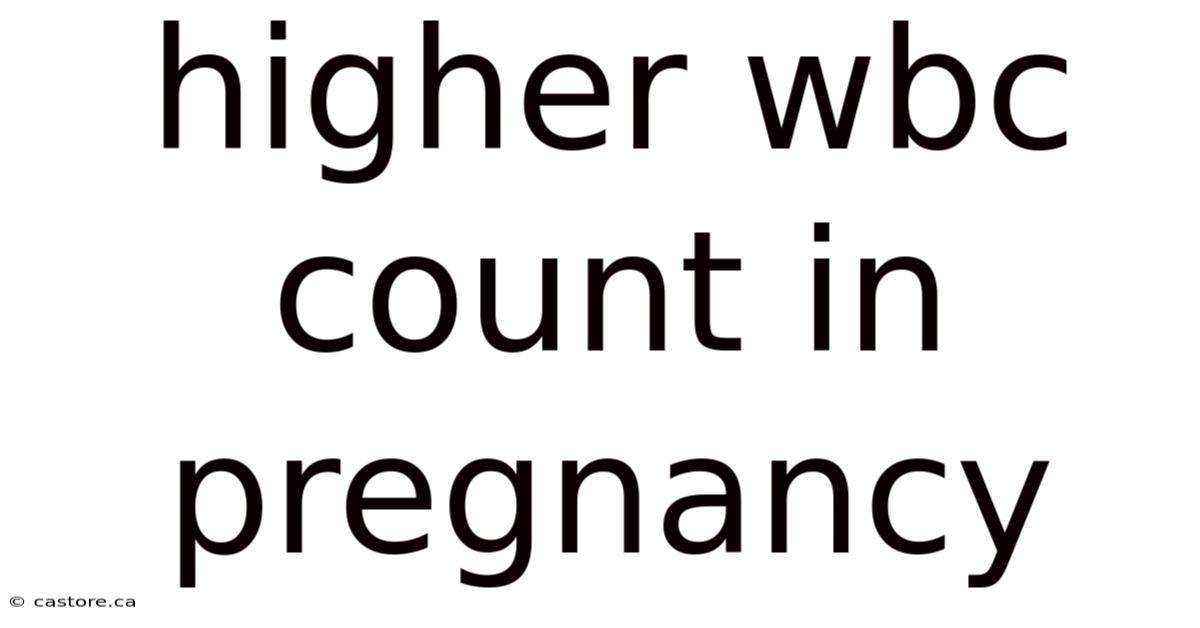 Higher Wbc Count In Pregnancy