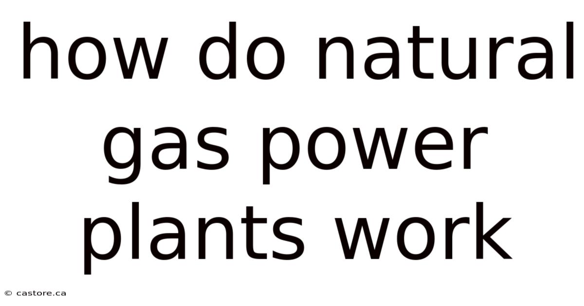 How Do Natural Gas Power Plants Work