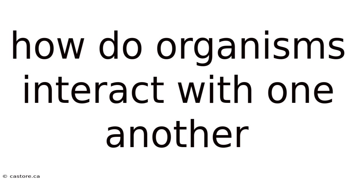 How Do Organisms Interact With One Another