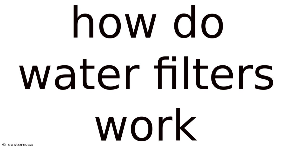 How Do Water Filters Work