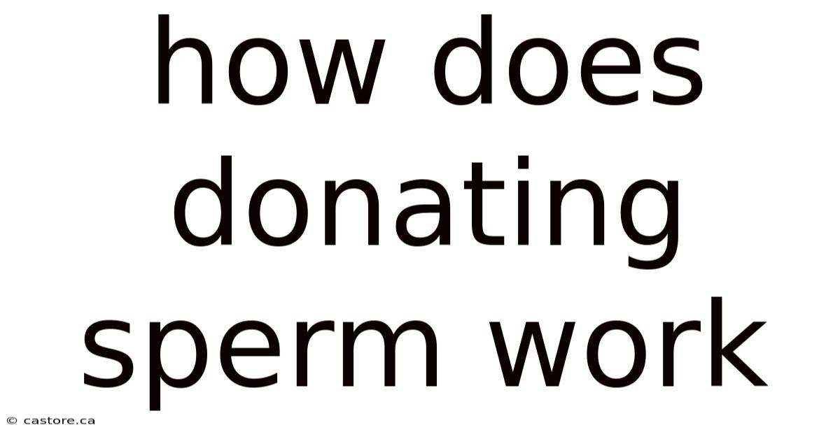 How Does Donating Sperm Work