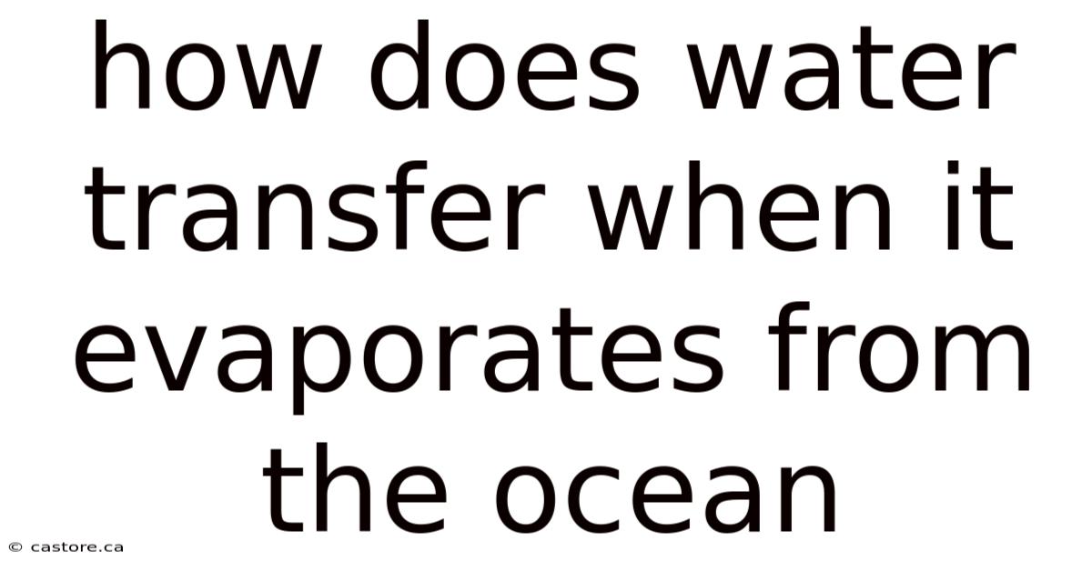 How Does Water Transfer When It Evaporates From The Ocean