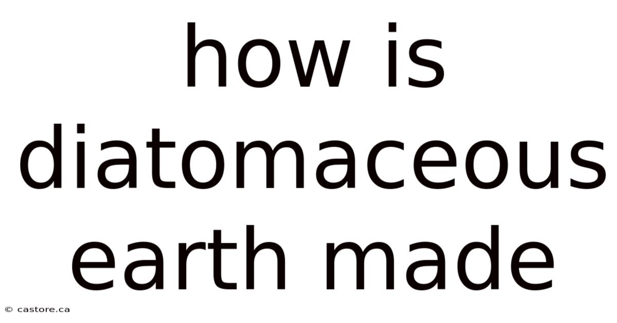 How Is Diatomaceous Earth Made