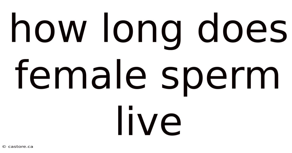 How Long Does Female Sperm Live