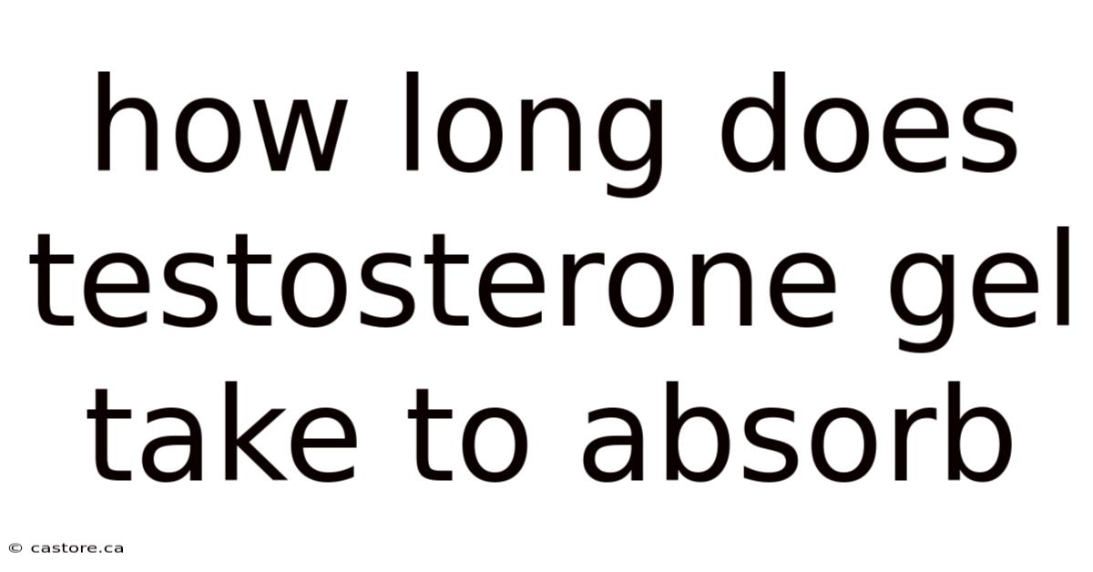 How Long Does Testosterone Gel Take To Absorb