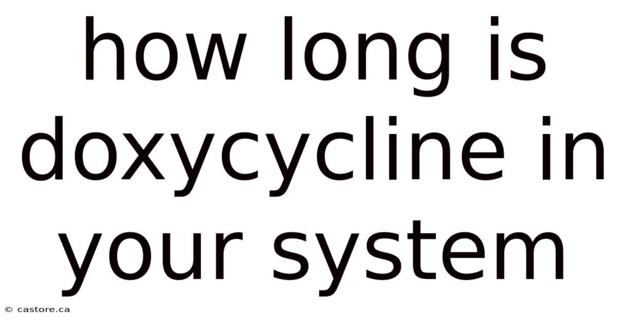 How Long Is Doxycycline In Your System