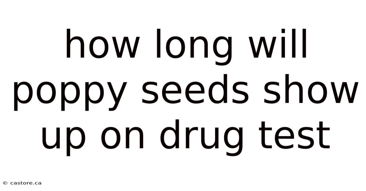 How Long Will Poppy Seeds Show Up On Drug Test