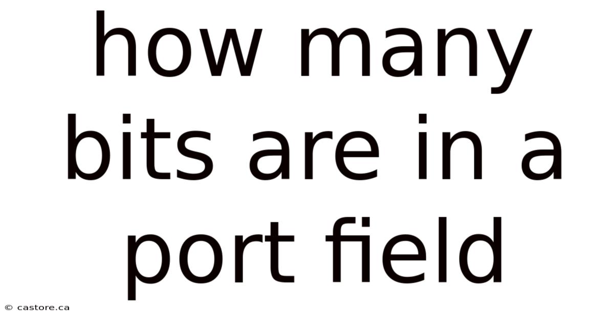 How Many Bits Are In A Port Field