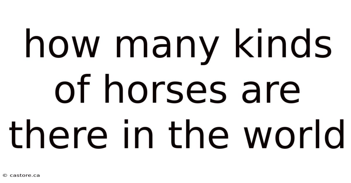 How Many Kinds Of Horses Are There In The World
