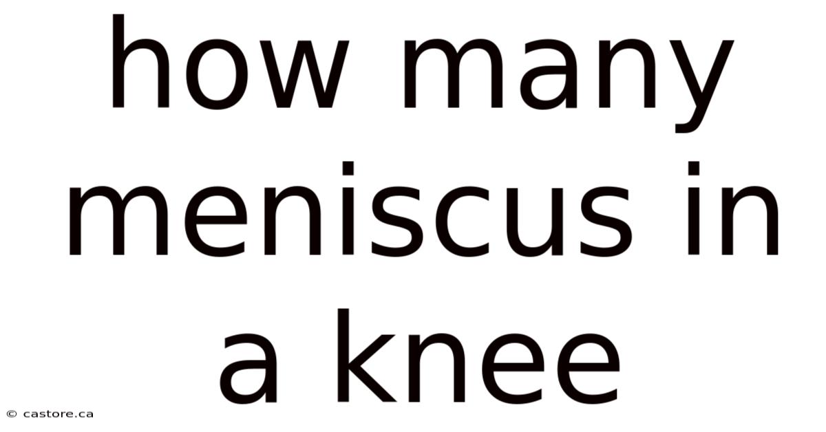 How Many Meniscus In A Knee