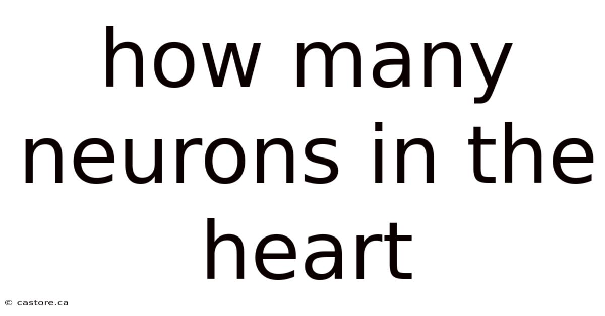 How Many Neurons In The Heart