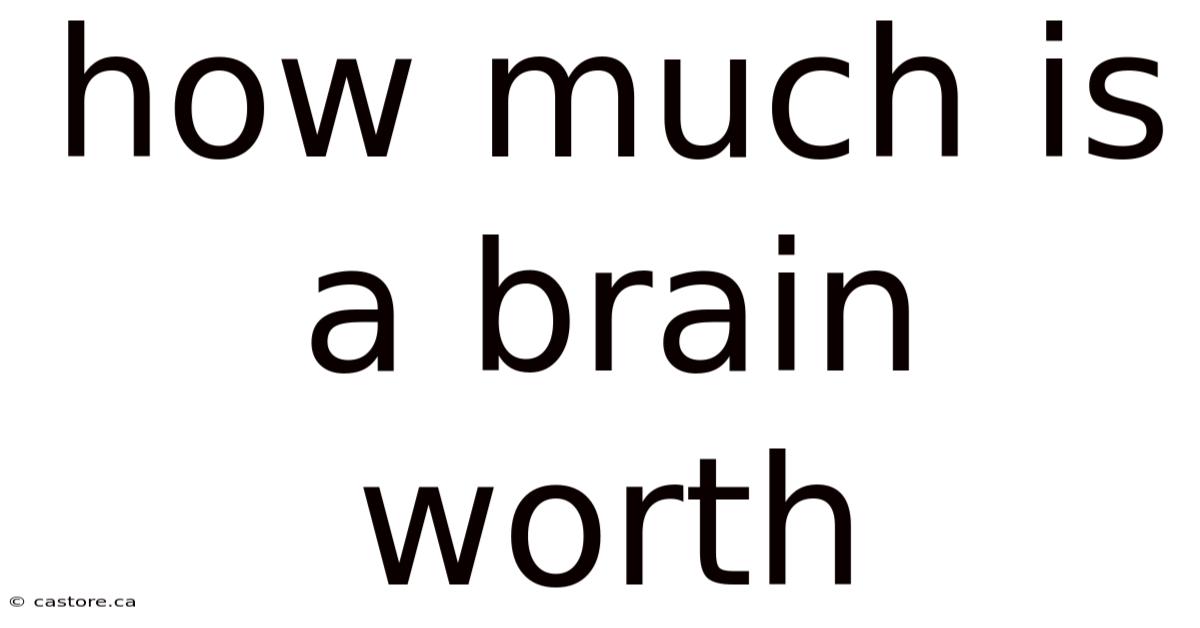 How Much Is A Brain Worth