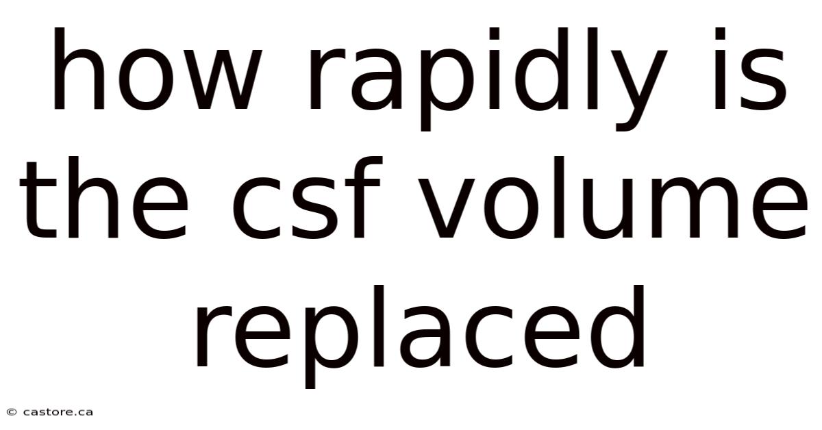 How Rapidly Is The Csf Volume Replaced