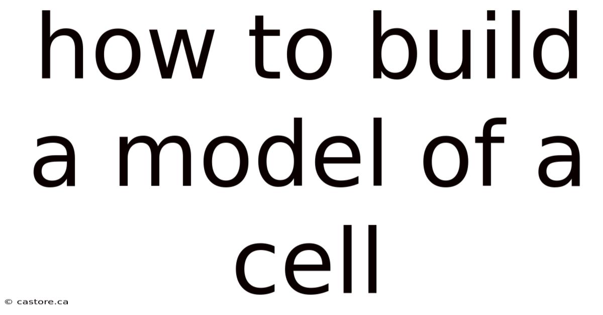How To Build A Model Of A Cell