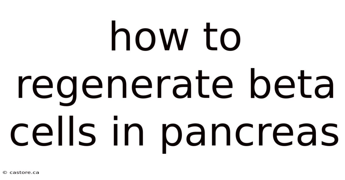 How To Regenerate Beta Cells In Pancreas