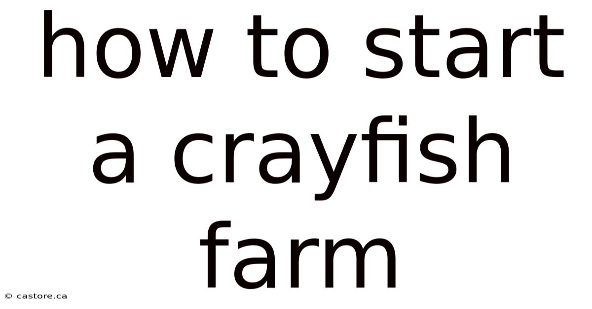 How To Start A Crayfish Farm