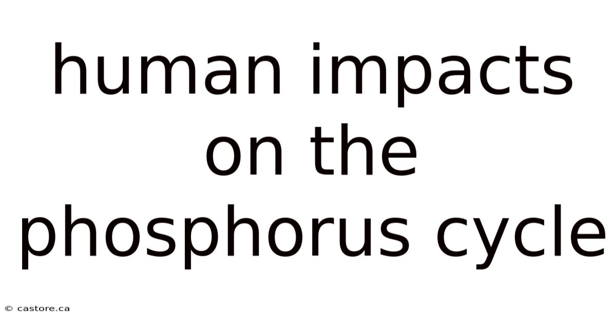 Human Impacts On The Phosphorus Cycle