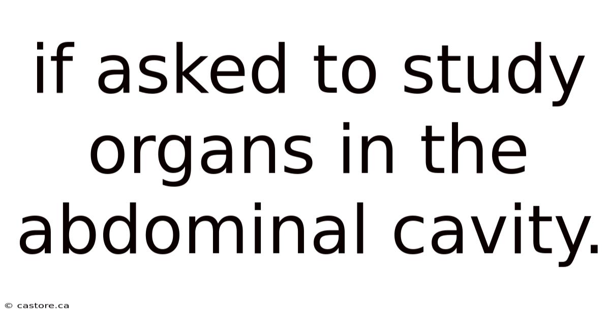 If Asked To Study Organs In The Abdominal Cavity.