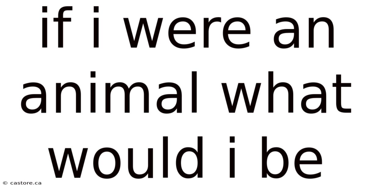 If I Were An Animal What Would I Be