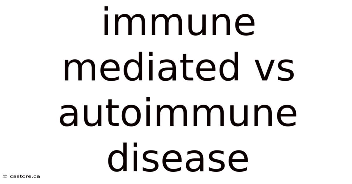 Immune Mediated Vs Autoimmune Disease