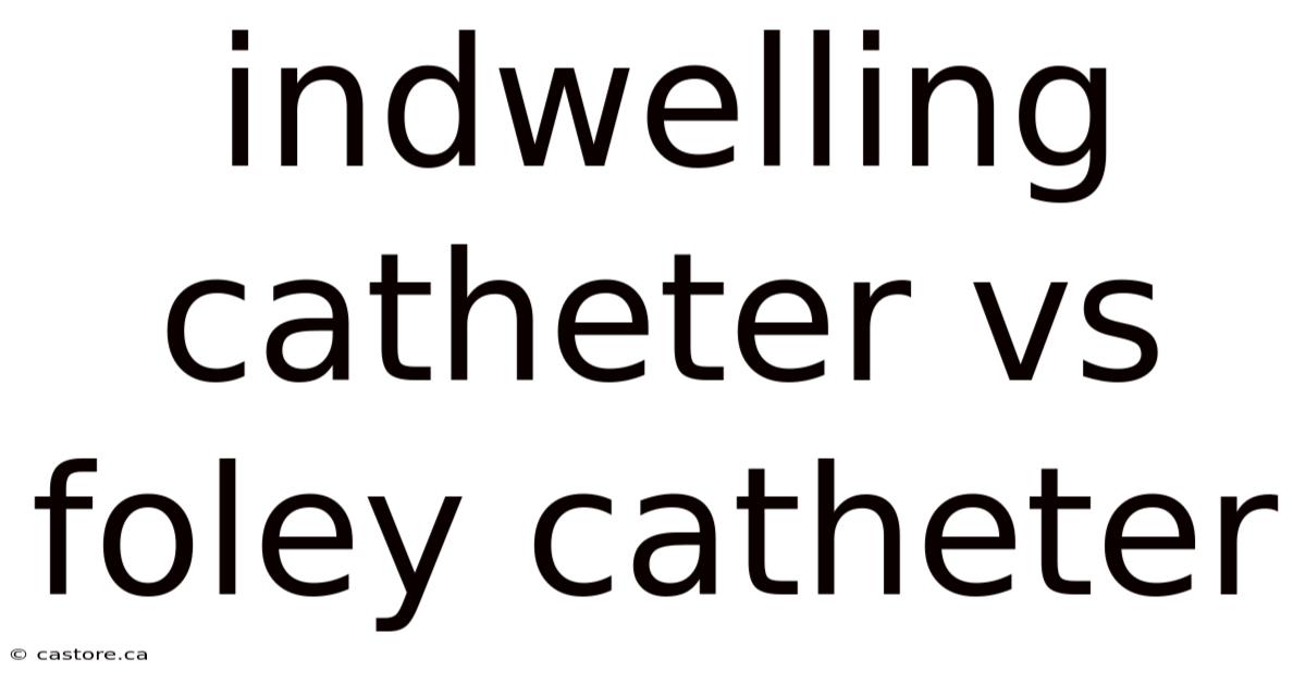 Indwelling Catheter Vs Foley Catheter